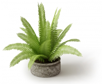 Modern Potted Green Plant-ID:332102417