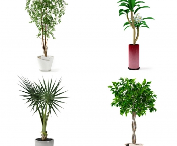 Modern Potted Green Plant-ID:312573993