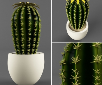 Modern Potted Green Plant-ID:212381221