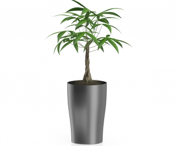 Modern Potted Green Plant-ID:357679267