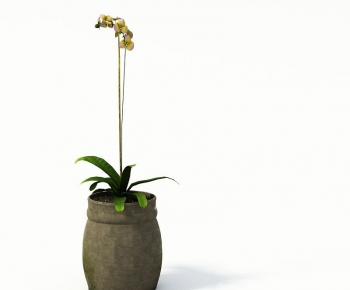 Modern Potted Green Plant-ID:590178238