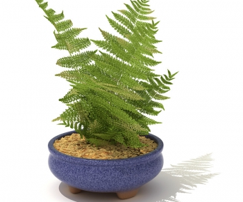 Modern Potted Green Plant-ID:370081764