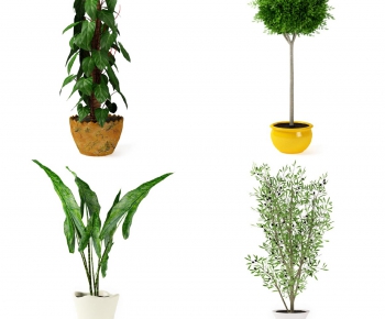 Modern Potted Green Plant-ID:316393719