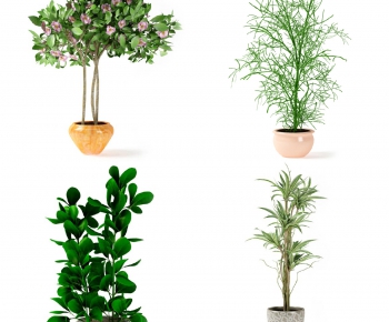 Modern Potted Green Plant-ID:323982836