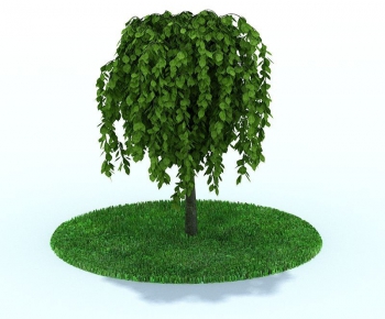 Modern Tree/shrub/grass-ID:335454178