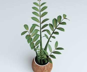 Modern Potted Green Plant-ID:642788446