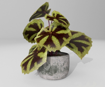 Modern Potted Green Plant-ID:362511565