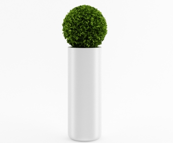 Modern Potted Green Plant-ID:651106317