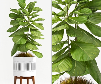 Modern Nordic Style Potted Green Plant-ID:503293316