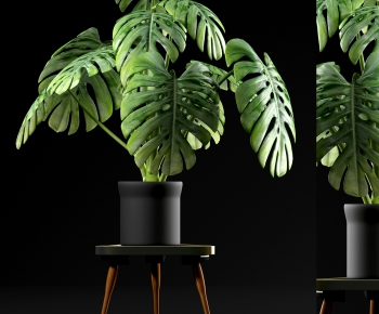 Modern Potted Green Plant-ID:857005913