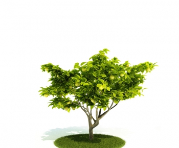 Modern Tree/shrub/grass-ID:672418419