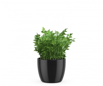 Modern Potted Green Plant-ID:825231936