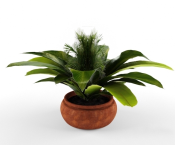 Modern Potted Green Plant-ID:992321619