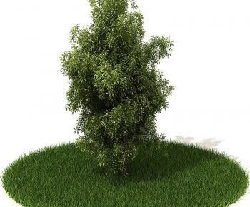 Modern Tree/shrub/grass-ID:908529739