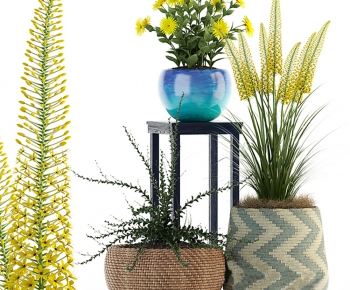 Modern Potted Green Plant-ID:488356482