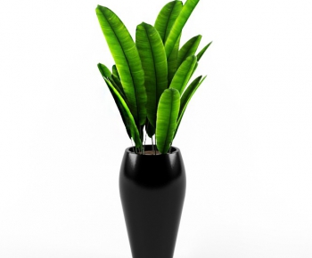 Modern Potted Green Plant-ID:148264613