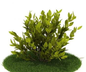 Modern Tree/shrub/grass-ID:885969686
