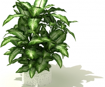 Modern Potted Green Plant-ID:401273445