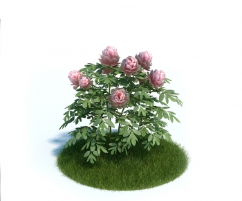 Modern Tree/shrub/grass-ID:777494743