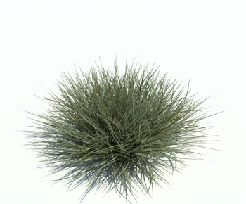 Modern Tree/shrub/grass-ID:425497172