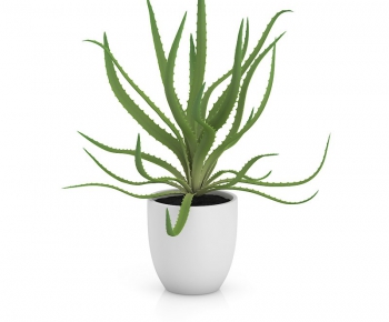 Modern Potted Green Plant-ID:632423639