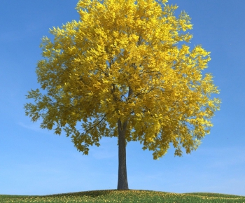 Modern Tree/shrub/grass-ID:273790554