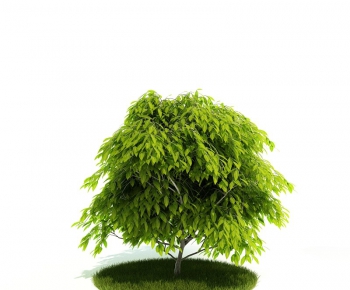 Modern Tree/shrub/grass-ID:453993664