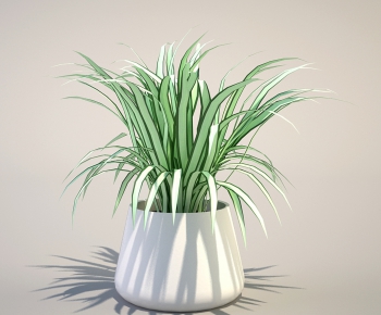 Modern Potted Green Plant-ID:720143348