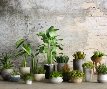 Modern Potted Green Plant-ID:486437764