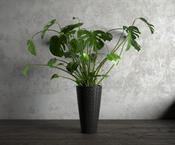 Modern Potted Green Plant-ID:810277231