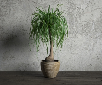 Modern Potted Green Plant-ID:899985452