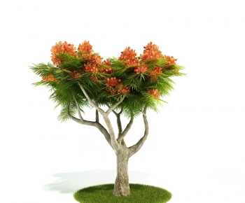 Modern Tree/shrub/grass-ID:660752755