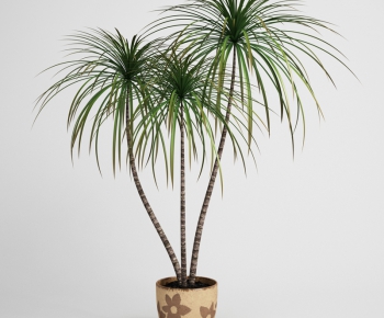Modern Potted Green Plant-ID:745216315