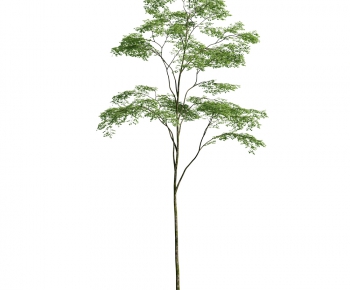 Modern Tree/shrub/grass-ID:904696692