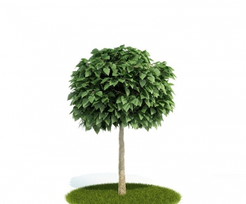 Modern Tree/shrub/grass-ID:404945267