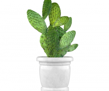 Modern Potted Green Plant-ID:884749478