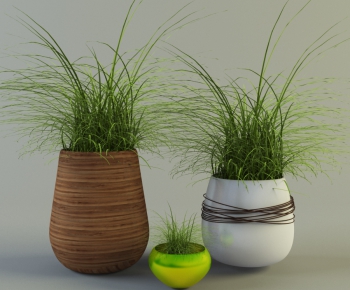 Modern Potted Green Plant-ID:979415441