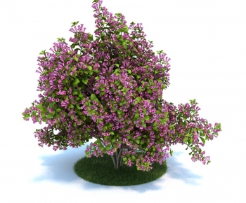 Modern Tree/shrub/grass-ID:908161489