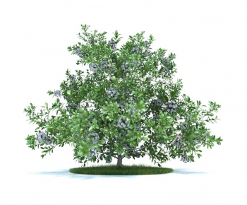 Modern Tree/shrub/grass-ID:791654634