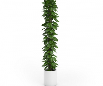 Modern Potted Green Plant-ID:686120324