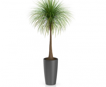 Modern Potted Green Plant-ID:231747557