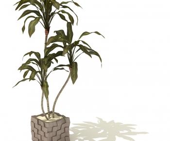 Modern Potted Green Plant-ID:389403697