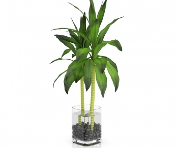 Modern Potted Green Plant-ID:486014315