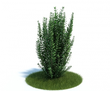 Modern Tree/shrub/grass-ID:689187777