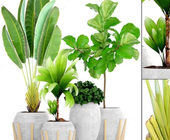 Modern Potted Green Plant-ID:631783647