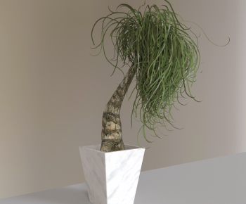 Modern Potted Green Plant-ID:697822657