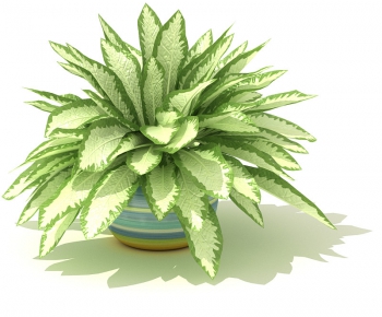 Modern Potted Green Plant-ID:416614245