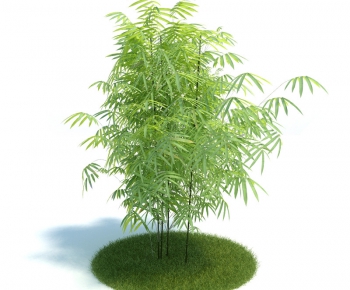 Modern Tree/shrub/grass-ID:758726652