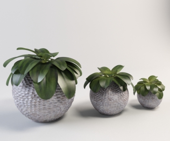 Modern Potted Green Plant-ID:102818662