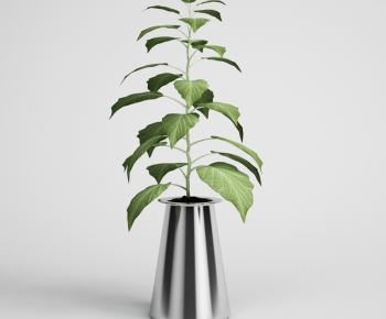 Modern Potted Green Plant-ID:696791184